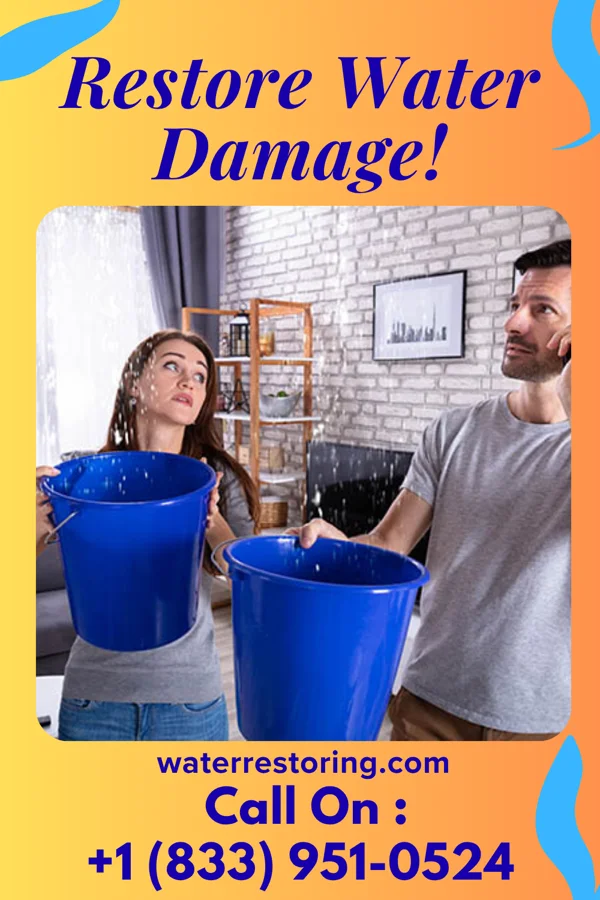 water restoration Falcon Water Cleanup Solutions Bel Air