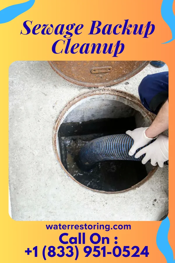 Sewage Backup Cleanup in Bel Air, MD